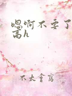 嗯啊不要了np高h