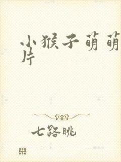 小猴子萌萌动画片