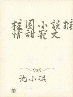 校园小说推荐言情甜宠文