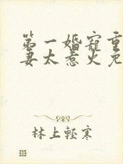 第一婚宠重生娇妻太惹火免费