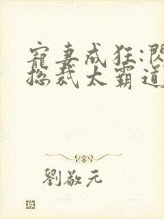 宠妻成狂:闪婚总裁太霸道