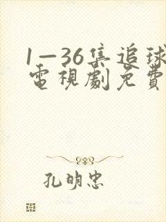 1—36集追球电视剧免费观看