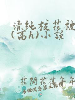 清纯校花被调教(高h)小说