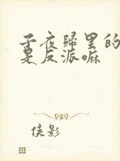 子夜归里的阿书是反派嘛