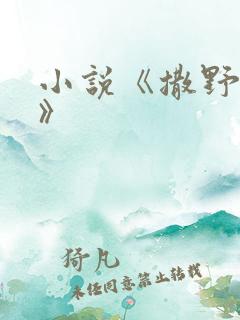小说《撒野巫哲》