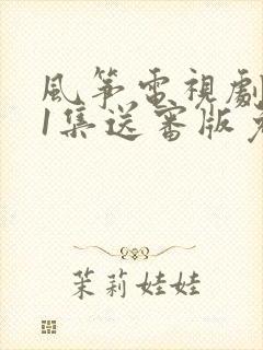 风筝电视剧全51集送审版免费观看