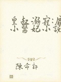 皇叔溺宠:废材小医妃小说txt