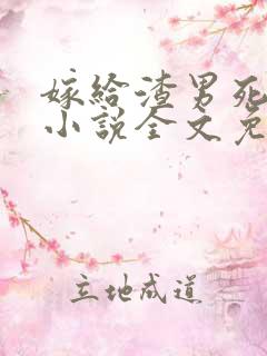 嫁给渣男死对头小说全文免费阅读