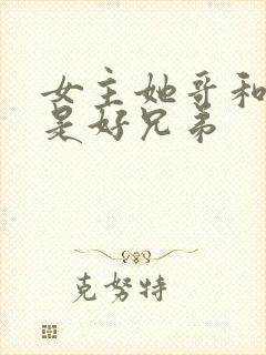 女主她哥和男主是好兄弟