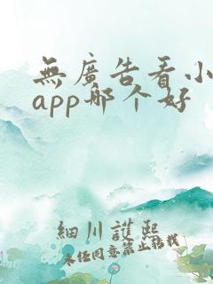 无广告看小说的app哪个好