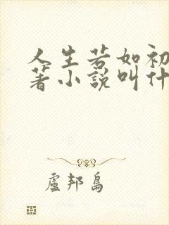 人生若如初见原著小说叫什么名字