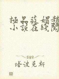 极品苏媚赵大宝小说在线阅读