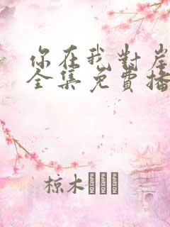 你在我对岸短剧全集免费播放