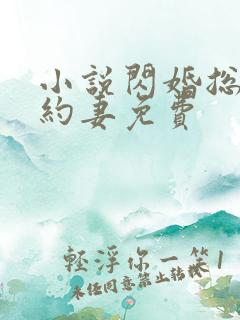 小说闪婚总裁契约妻免费