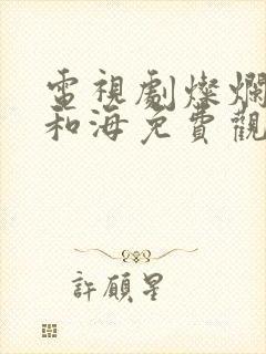 电视剧灿烂的风和海免费观看全集