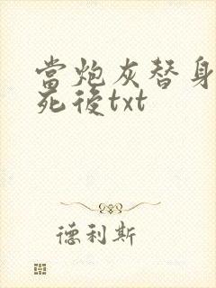 当炮灰替身的我死后txt