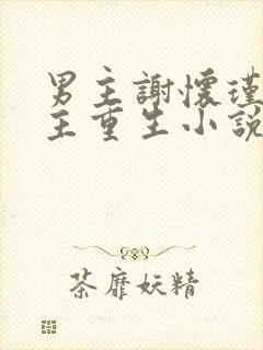 男主谢怀瑾的女主重生小说