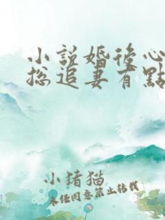 小说婚后心动凌总追妻有点甜免费阅读