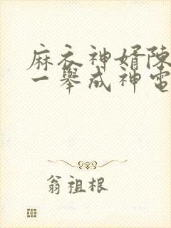 麻衣神婿陈黄皮一举成神电子书