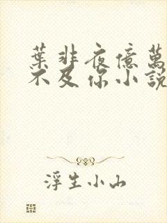 叶非夜亿万星辰不及你小说