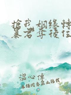 抢我姻缘转身嫁暴君夺后位小说txt下载