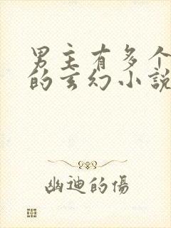 男主有多个老婆的玄幻小说