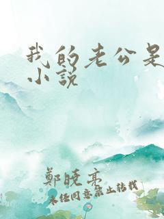 我的老公是冥王小说