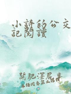 小诗的公交车日记阅读