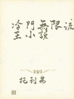 冷门无限流双男主小说