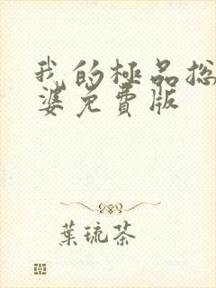 我的极品总裁老婆免费版