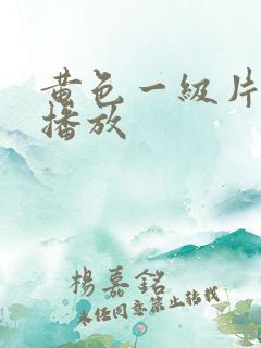 黄色一级片视频播放