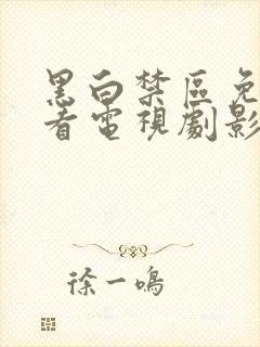 黑白禁区免费观看电视剧影视大全