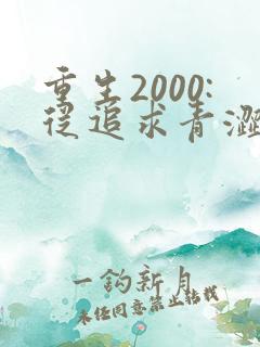 重生2000:从追求青涩校花同桌开始原著作者