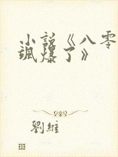 小说《八零辣妈飒爆了》