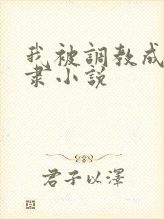 我被调教成性奴隶小说