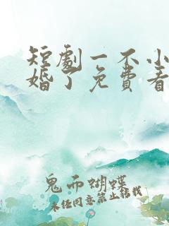 短剧一不小心闪婚了免费看