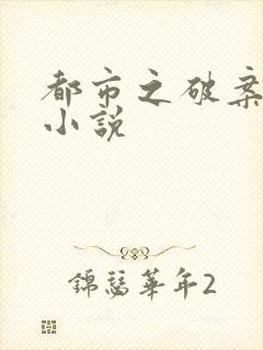 都市之破案狂少小说