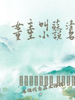 女主叫苏清染的重生小说名字