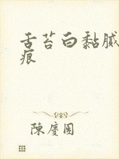 舌苔白黏腻有齿痕