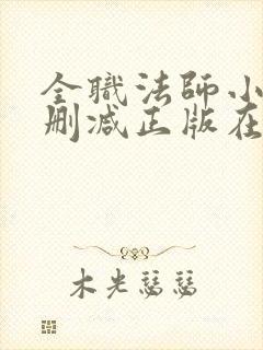 全职法师小说无删减正版在线阅读