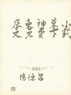 辰东神墓小说全文免费下载