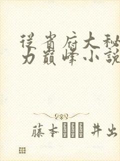 从省府大秘到权力巅峰小说完整版本