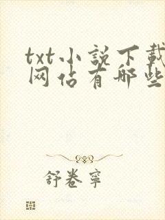 txt小说下载网站有哪些