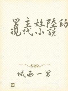 男主姓陆的全部现代小说
