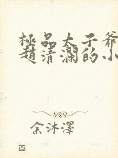 极品太子爷李辰赵清澜的小说