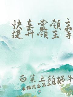 快来当领主怎么提升领主等级