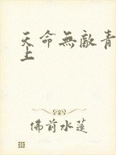 天命无敌青鸾峰上