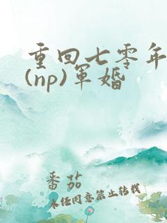 重回七零年代文(np)军婚