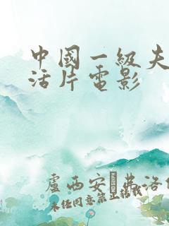 中国一级夫妻生活片电影