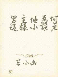 男主他为何总是这样小说免费阅读